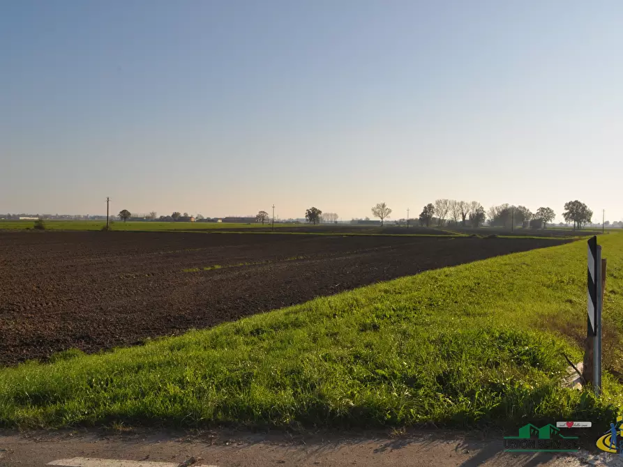 terreno agricolo in vendita a Torrile