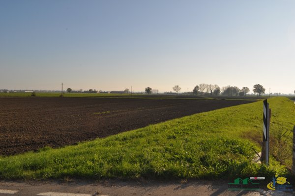 terreno agricolo in vendita a Torrile