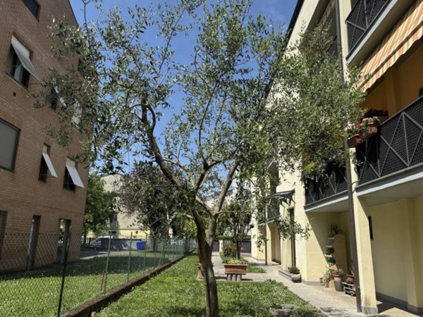 appartamento in vendita a Torrile in zona San Polo