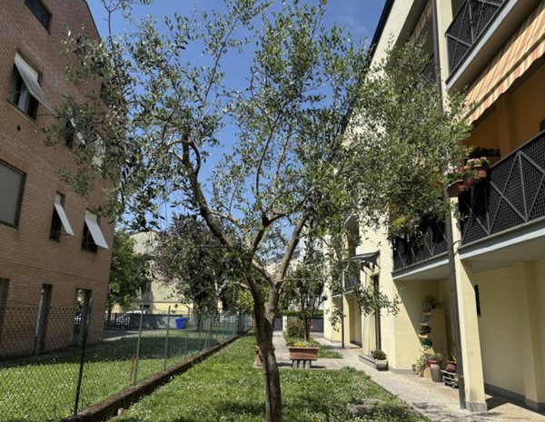 appartamento in vendita a Torrile in zona San Polo