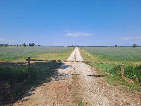 terreno agricolo in vendita a Torrile