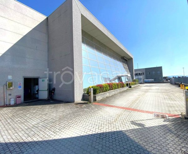 locale commerciale in vendita a Torrile