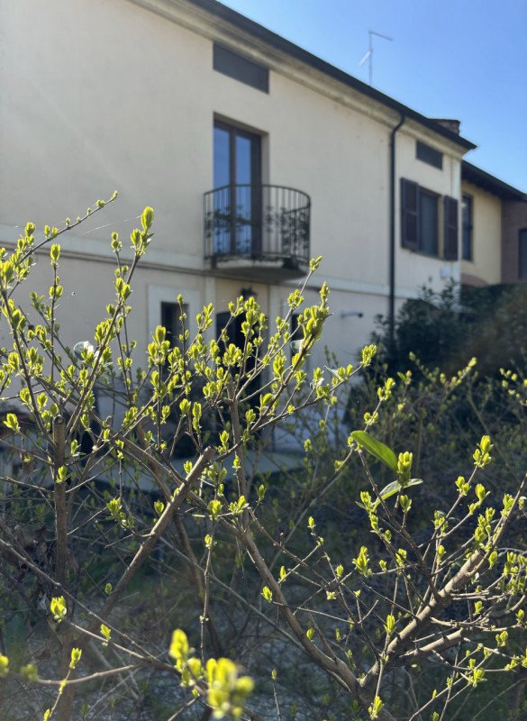 appartamento in vendita a Torrile