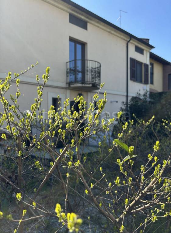 appartamento in vendita a Torrile