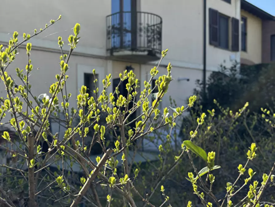 appartamento in vendita a Torrile in zona Bezze