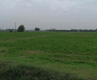 terreno edificabile in vendita a Torrile in zona San Polo