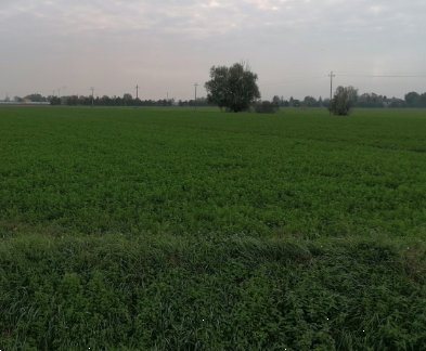 terreno edificabile in vendita a Torrile in zona San Polo