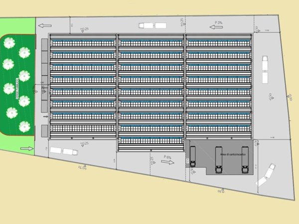 terreno agricolo in vendita a Torrile in zona San Polo