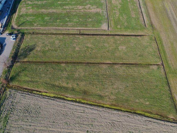 terreno edificabile in vendita a Torrile in zona San Polo