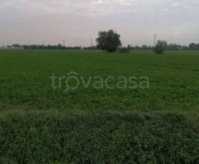 appartamento in vendita a Torrile in zona San Polo