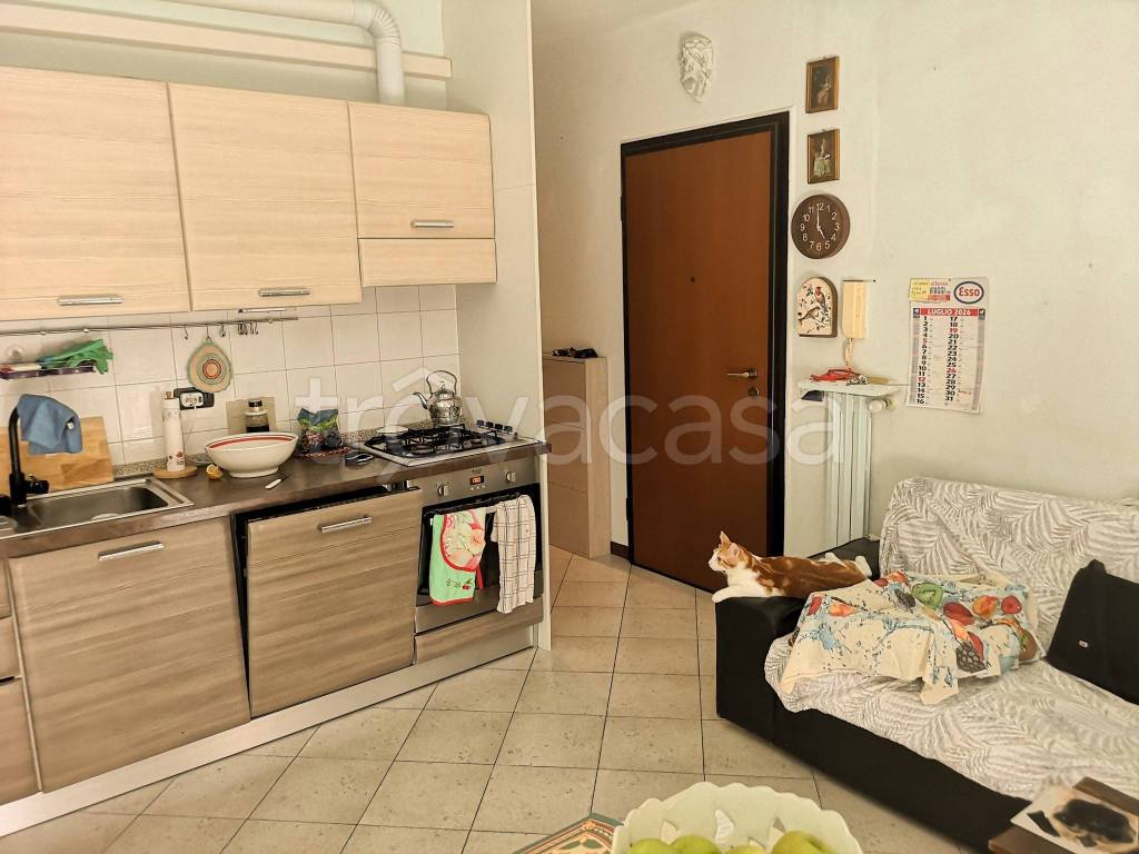 appartamento in vendita a Torrile