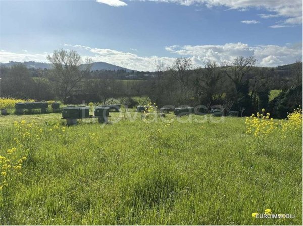 terreno agricolo in vendita a Traversetolo