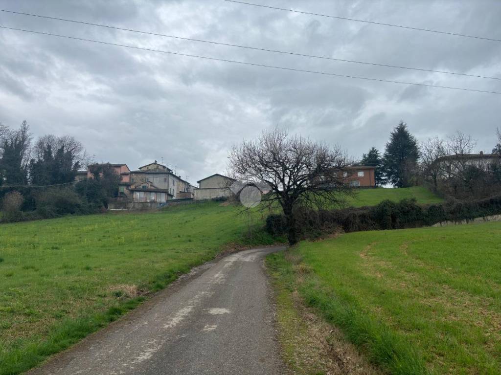 terreno agricolo in vendita a Traversetolo