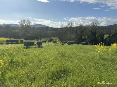 terreno agricolo in vendita a Traversetolo