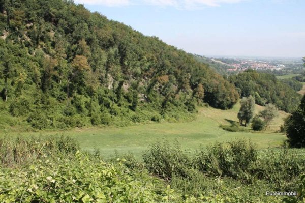 terreno agricolo in vendita a Traversetolo