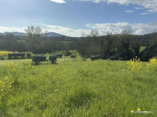 terreno agricolo in vendita a Traversetolo