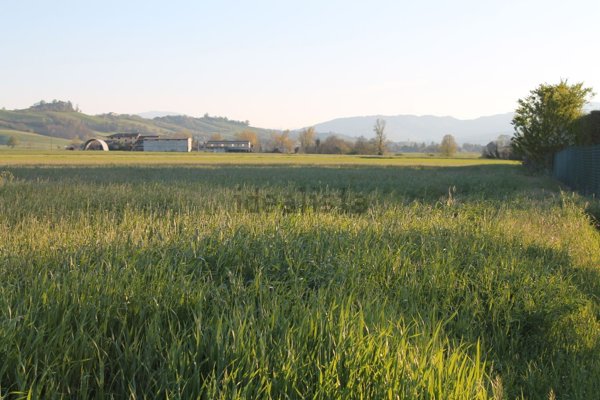 terreno agricolo in vendita a Traversetolo in zona Mamiano