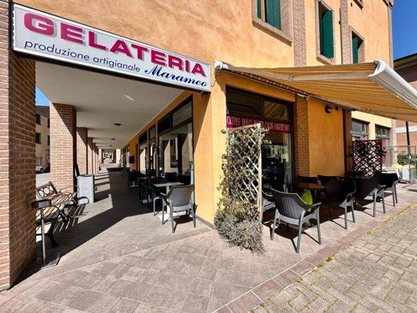 negozio in vendita a Traversetolo