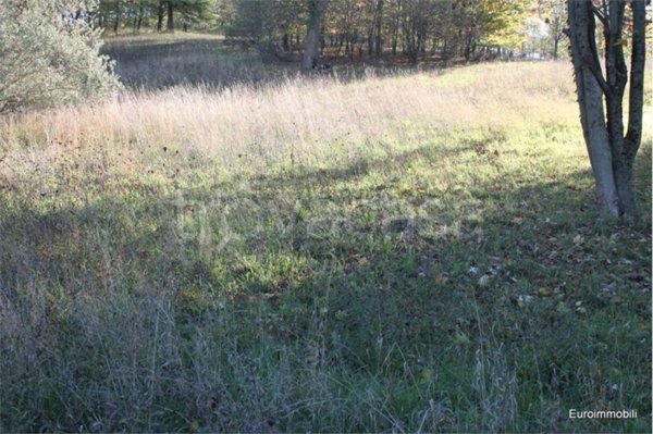 terreno agricolo in vendita a Traversetolo
