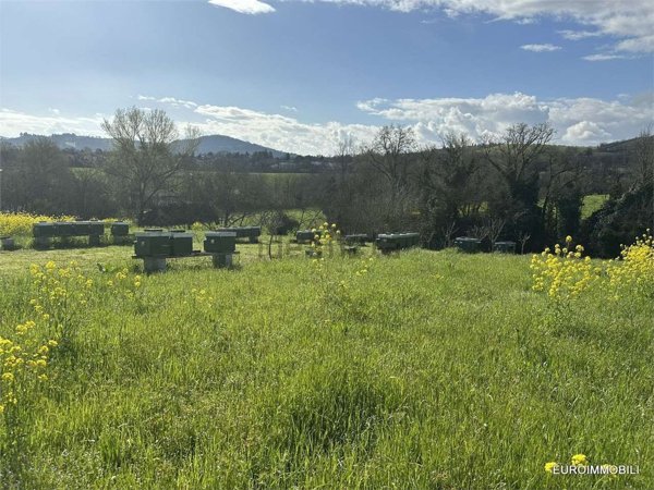 terreno agricolo in vendita a Traversetolo