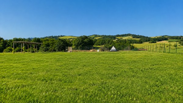 terreno agricolo in vendita a Traversetolo in zona Vignale di Traversetolo