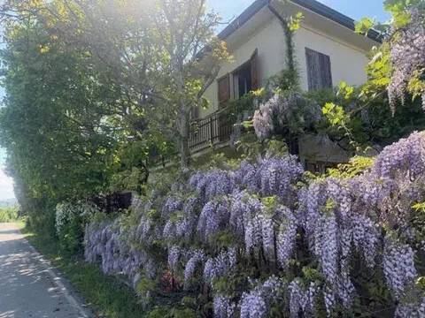 casa indipendente in vendita a Traversetolo in zona Cazzola