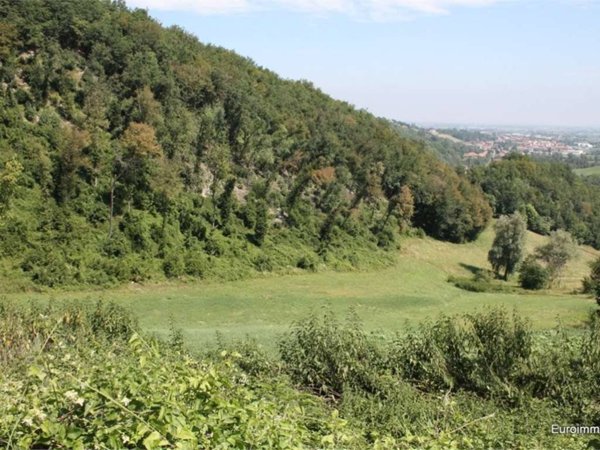 terreno agricolo in vendita a Traversetolo in zona Cazzola