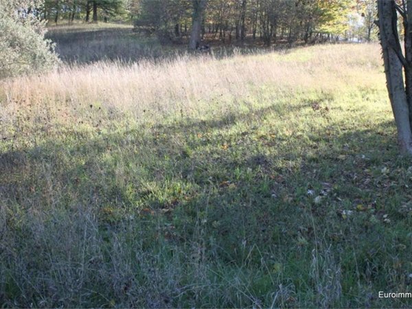 terreno edificabile in vendita a Traversetolo in zona Vignale di Traversetolo