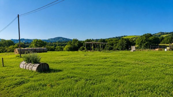 terreno agricolo in vendita a Traversetolo in zona Vignale di Traversetolo
