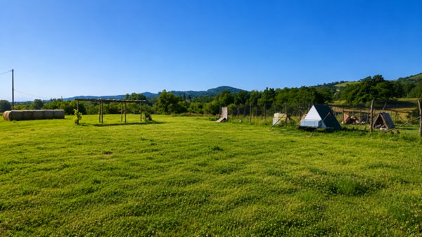 terreno agricolo in vendita a Traversetolo in zona Vignale di Traversetolo