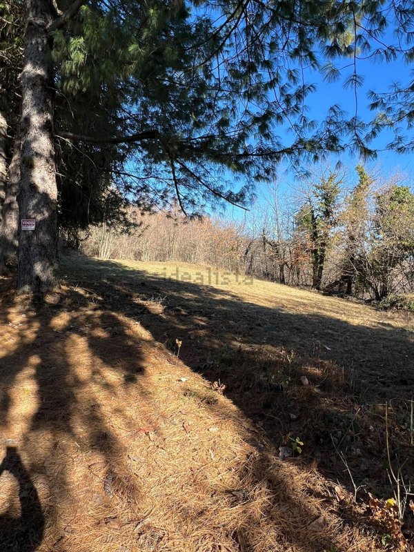 terreno edificabile in vendita a Valmozzola