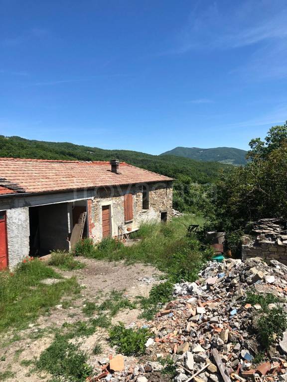 casa indipendente in vendita a Varsi in zona Tognoni