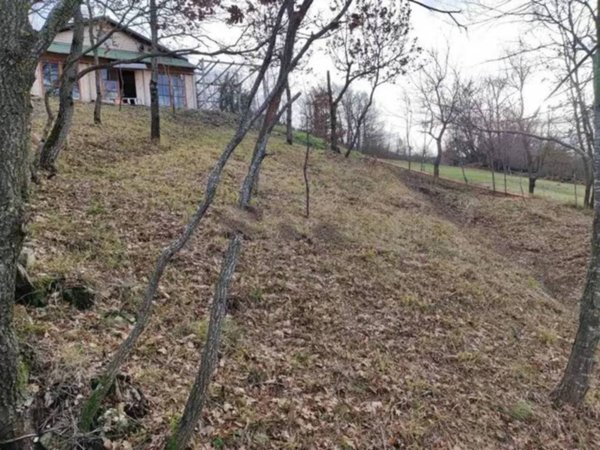 casa indipendente in vendita a Varsi