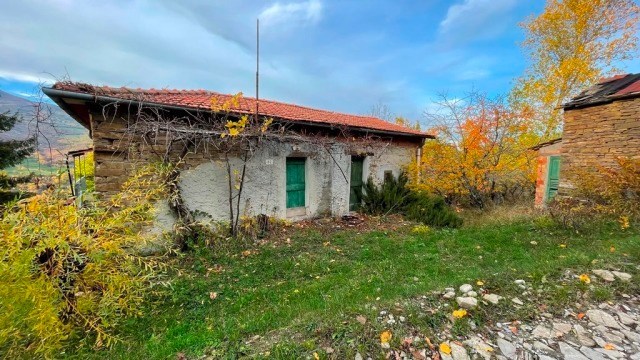 immagine annuncio 0 di 1