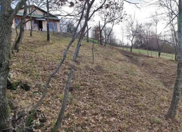 casa indipendente in vendita a Varsi