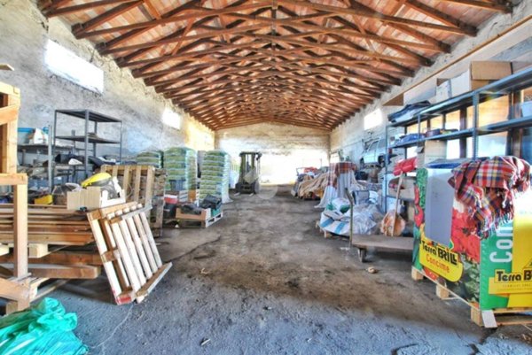 locale commerciale in vendita a Saluggia