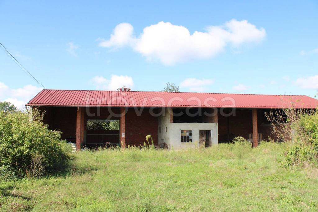 casa indipendente in vendita a Saluggia