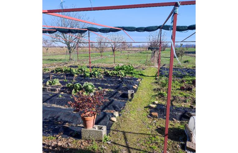 casa indipendente in vendita a Saluggia