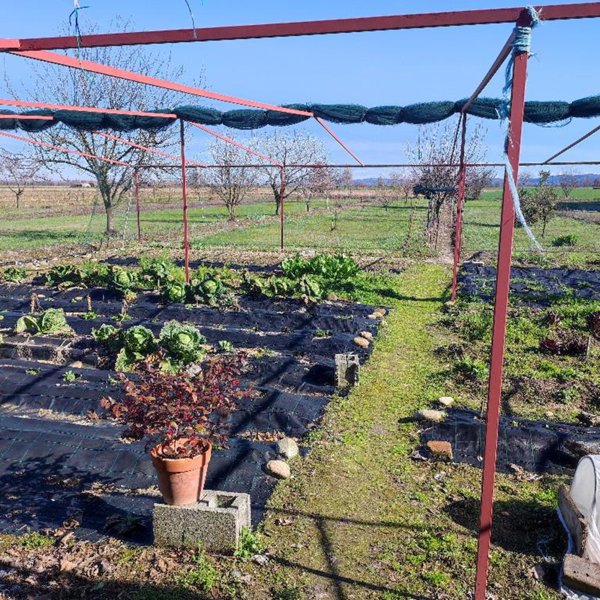 casa indipendente in vendita a Saluggia
