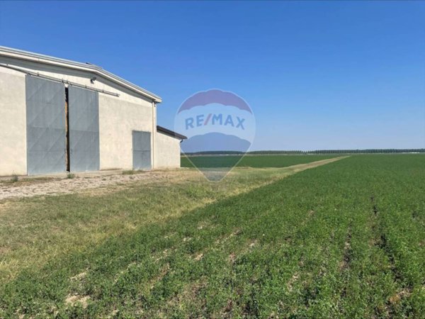terreno agricolo in vendita a Sissa Trecasali in zona Torricella