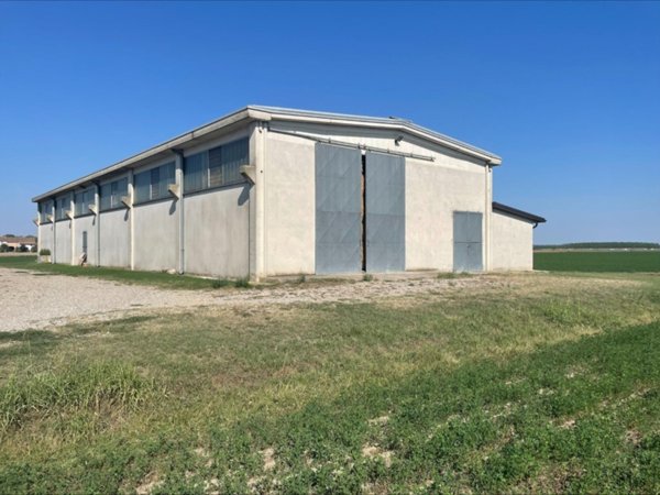terreno agricolo in vendita a Sissa Trecasali in zona Sissa