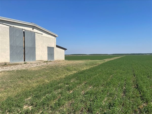 terreno agricolo in vendita a Sissa Trecasali in zona Sissa
