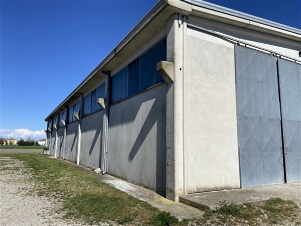 terreno agricolo in vendita a Sissa Trecasali in zona Torricella
