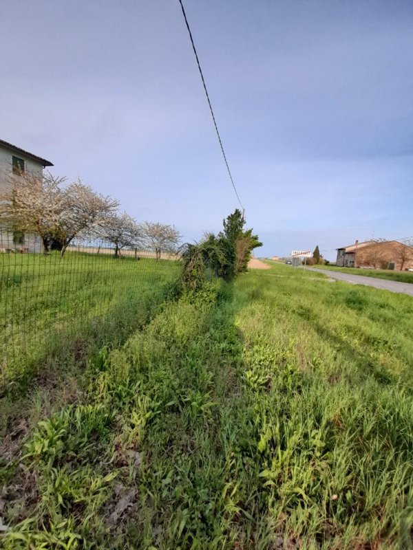 locale di sgombero in vendita a Sissa Trecasali in zona Trecasali