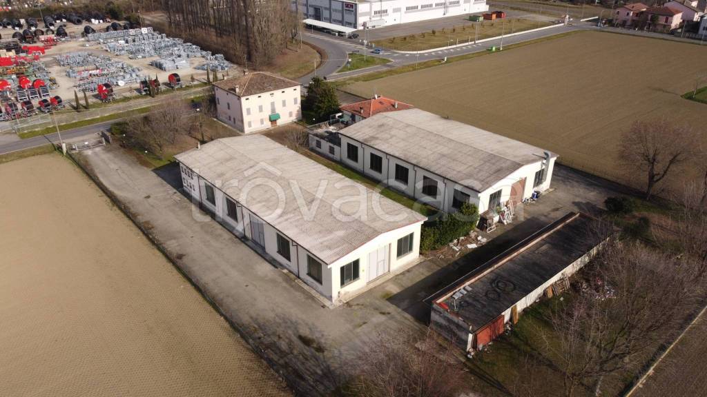 villa in vendita a Sissa Trecasali in zona Ronco Campo Canneto