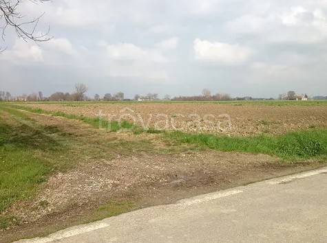 terreno edificabile in vendita a Sissa Trecasali