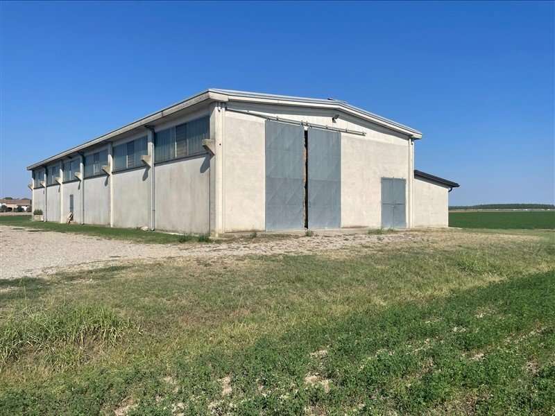 terreno agricolo in vendita a Sissa Trecasali in zona Torricella