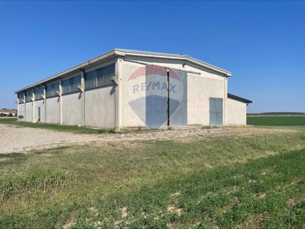 terreno agricolo in vendita a Sissa Trecasali in zona Sissa