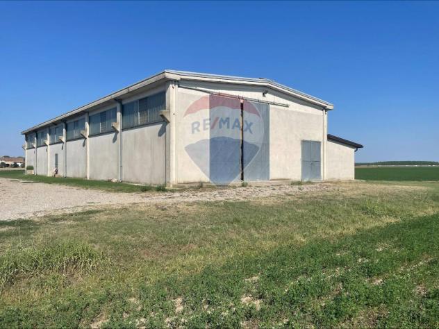 terreno agricolo in vendita a Sissa Trecasali in zona Sissa