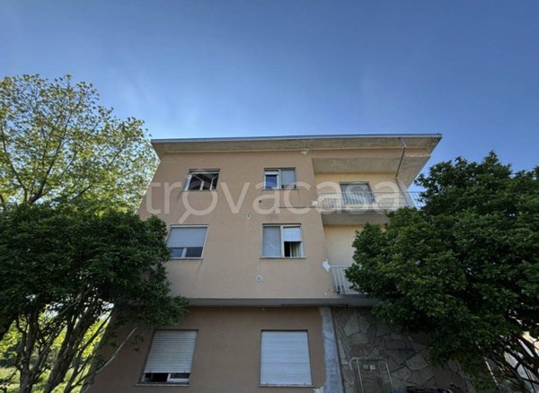 casa indipendente in vendita a Sissa Trecasali in zona Trecasali